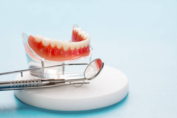 Best Preventive Dentistry  in Stewart Manor, NY